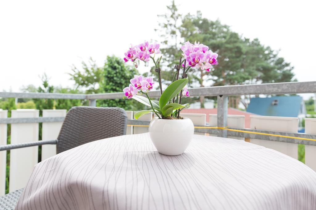 Hotel Garni Am Deich Zingst Δωμάτιο φωτογραφία