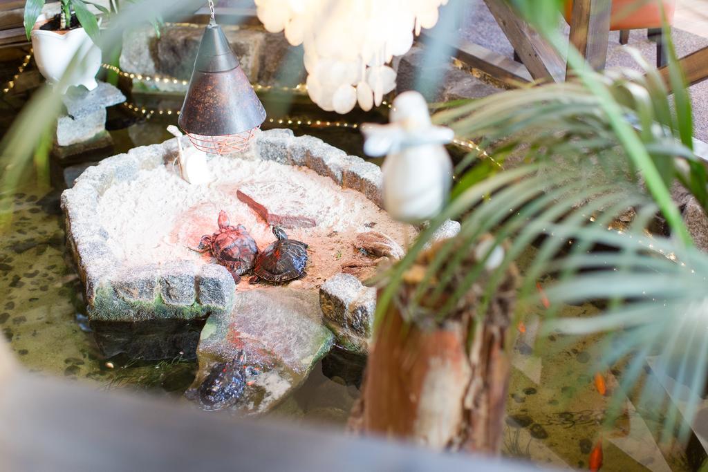 Hotel Garni Am Deich Zingst Εξωτερικό φωτογραφία