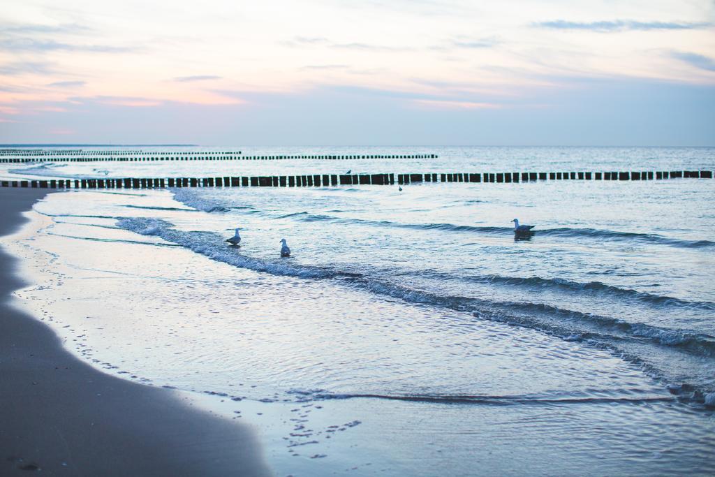 Hotel Garni Am Deich Zingst Εξωτερικό φωτογραφία